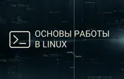 Основы работы в Linux