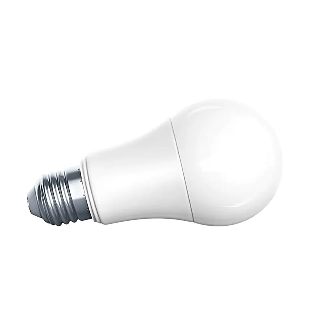 Light Bulb
