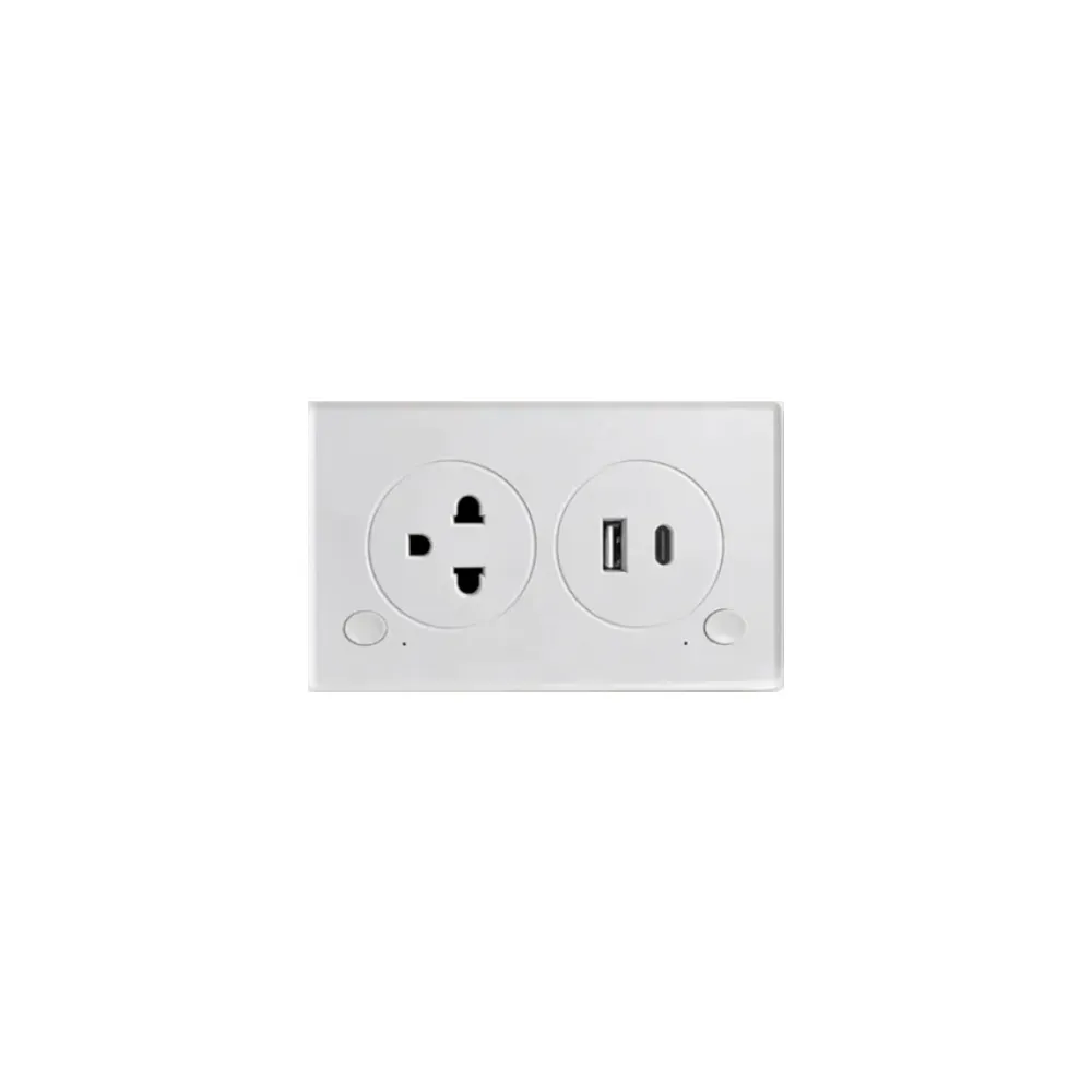 Tuya Smart Wall Plug ZigBee USB