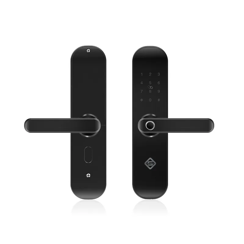 Wi-Fi apartment/hotel electronic anti-theft fingerprint/password lock