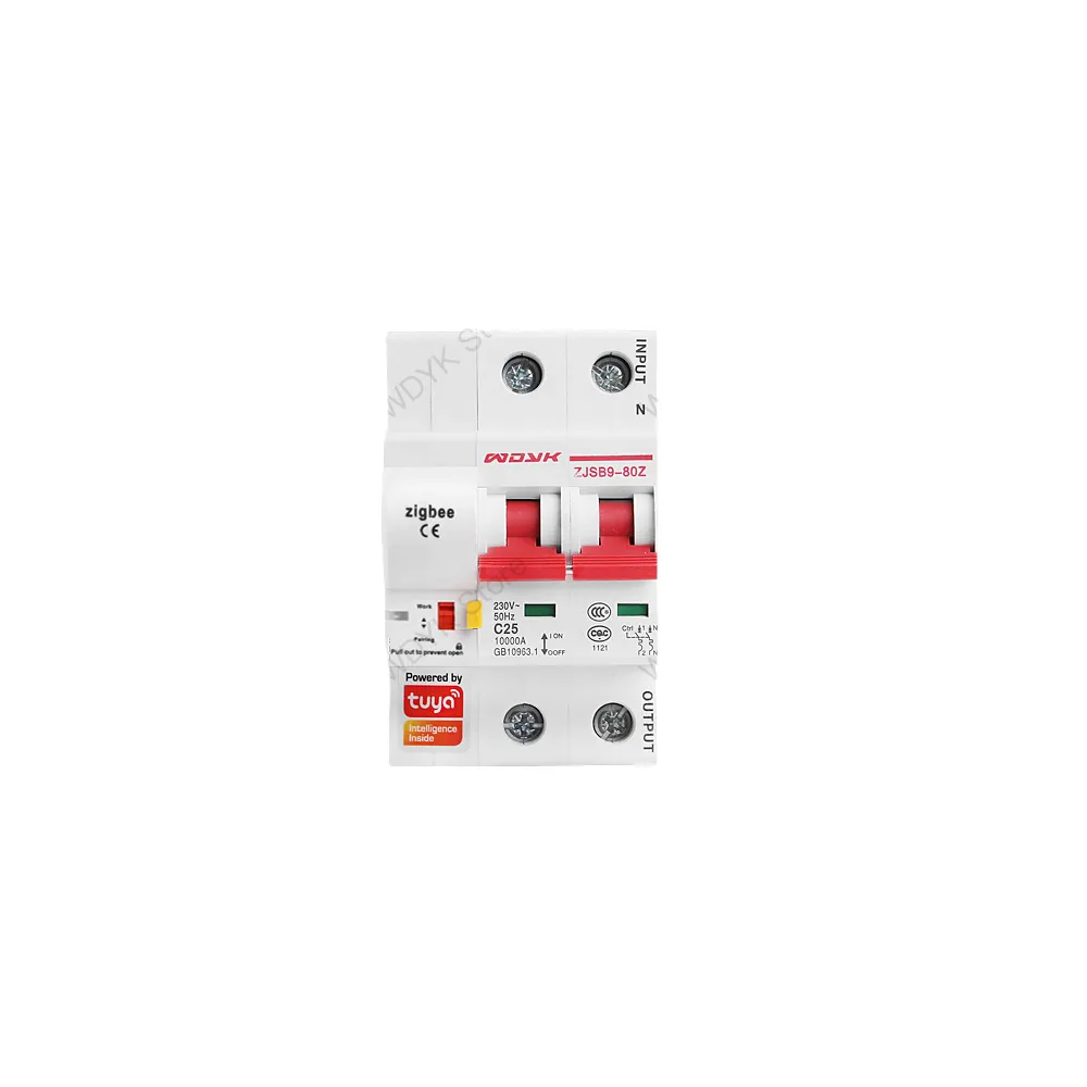 Zigbee Smart Circuit Breaker 2 CH