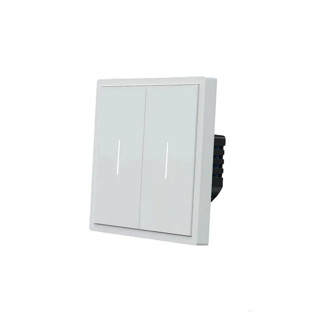 Выключатель Zigbee, 2ch